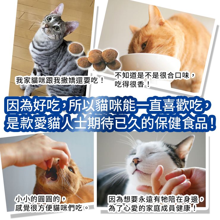 aim30 20 -year -old室內貓腎臟腎臟保健包裝包