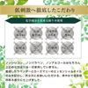 [Limited quantity price] SUNA Biot Shot Sculp Essence Double Black 100ml