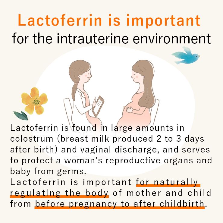 Lactoferrin Formulated with Women’s Microbiome in Mind – 90 Capsules