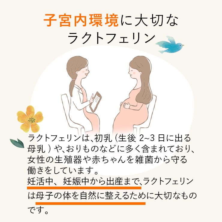 女性のフローラから考えたラクトフェリン 90粒