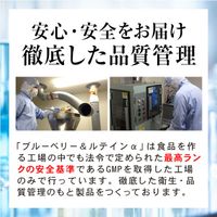 藍莓葉黃素 α 31 片