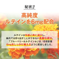 藍莓葉黃素 α 31 片