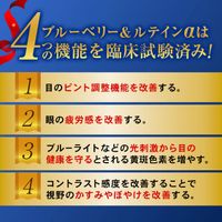 藍莓葉黃素 α 31 片