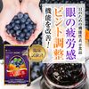 ブルーベリー&ルテインα 31粒