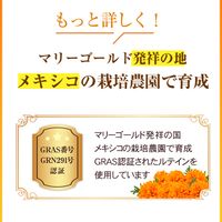 清澈葉黃素 31 片