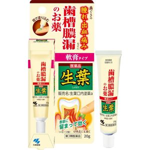 [Limited quantity price] Fresh leaf oral ointment 20g [Class 3 drug]