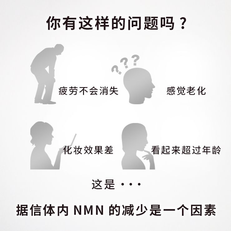 NMN15000 + 辅酶Q10 90片