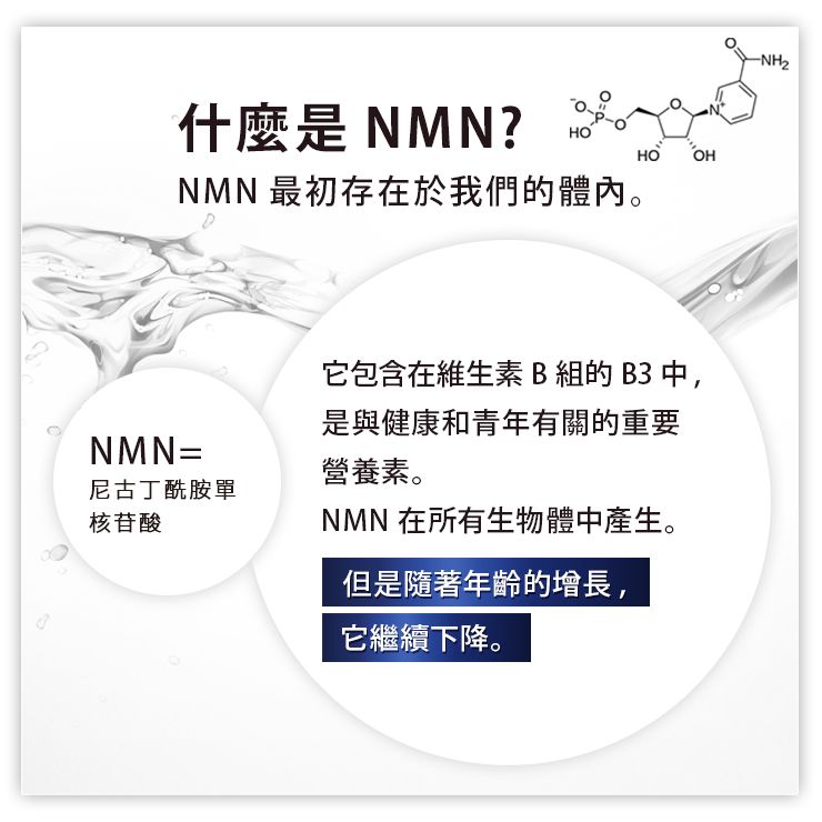 NMN15000 + 輔酶Q10 90片