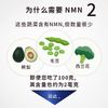 Current Lab NMN15000+辅酶Q10 90片