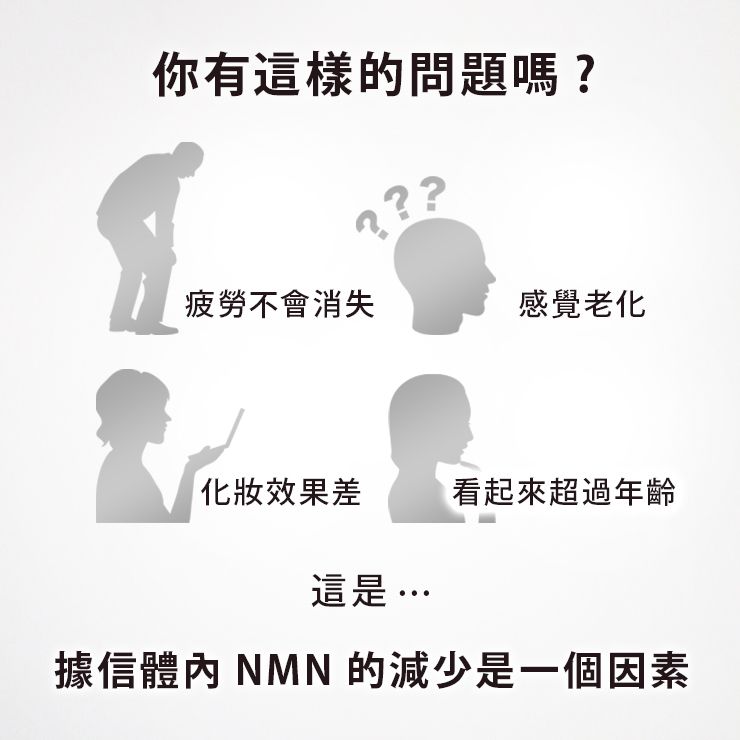NMN15000 + 輔酶Q10 90片