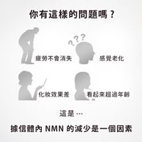 NMN15000 + 輔酶Q10 90片