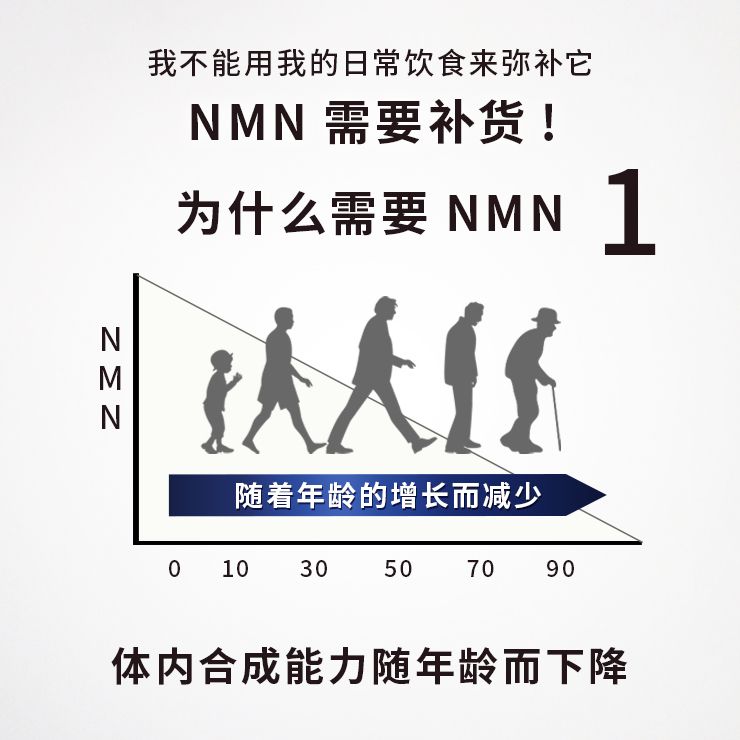 NMN15000 + 辅酶Q10 90片
