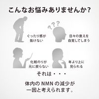 NMN15000+コエンザイムQ10 90粒