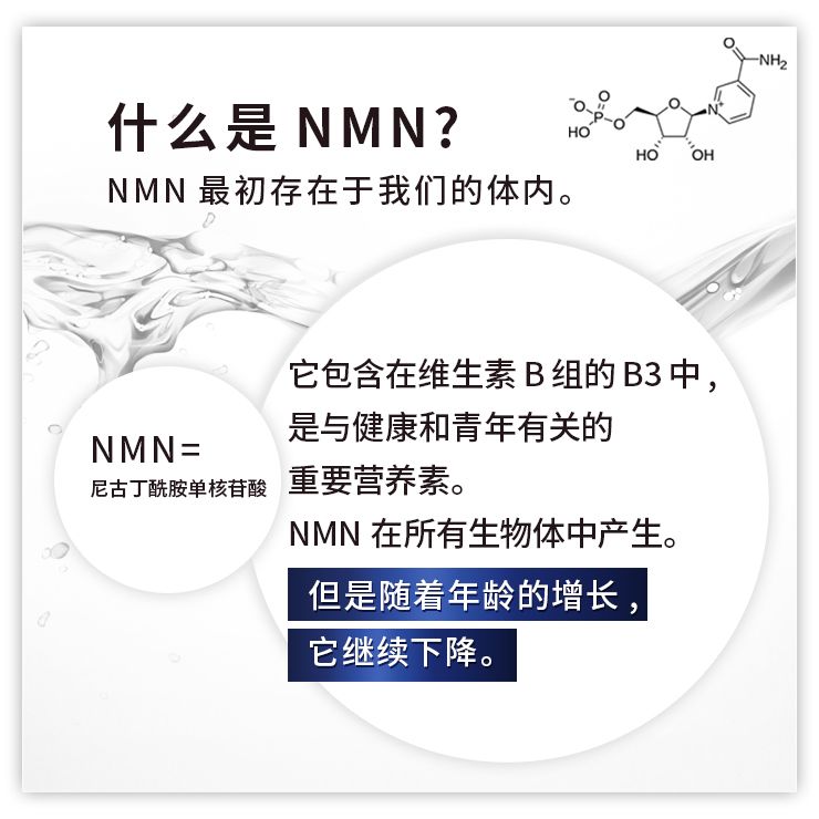 Current Lab NMN15000+辅酶Q10 90片