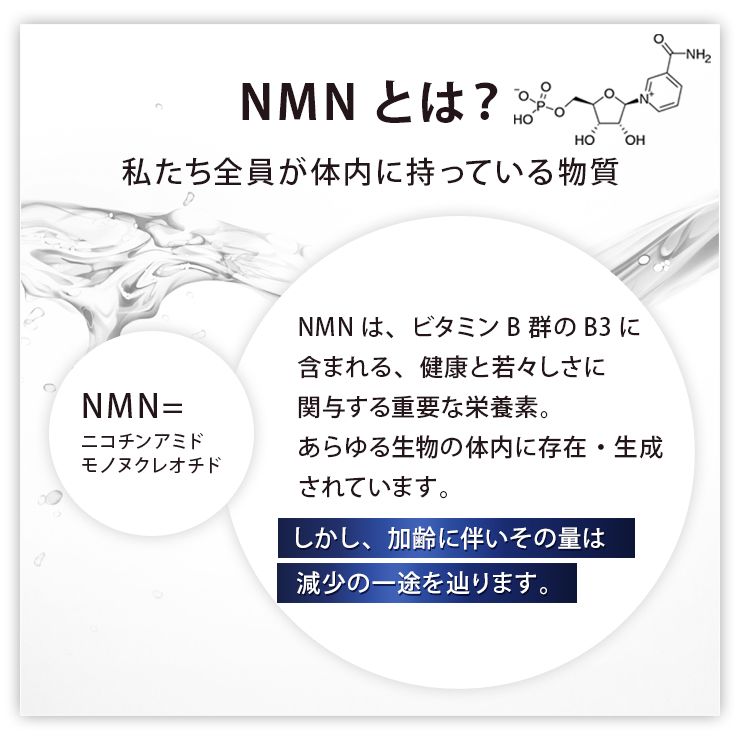 【3個セット】カレントラボ NMN15000+コエンザイムQ10 90粒