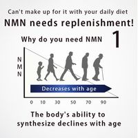 [Set of 3] NMN15000 + Coenzyme Q10 90 tablets
