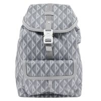 Pre-owned Christian Dior HIT THE ROAD backpack/daypack (1ESBA021CDP) made in Italy from PVC in gray. Suitable for shoulder or handbag use. Fits A4 size. Includes flap. Men's.