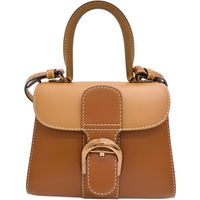 DELVAUX Brillant 女士ブラウン迷你兩用單肩包