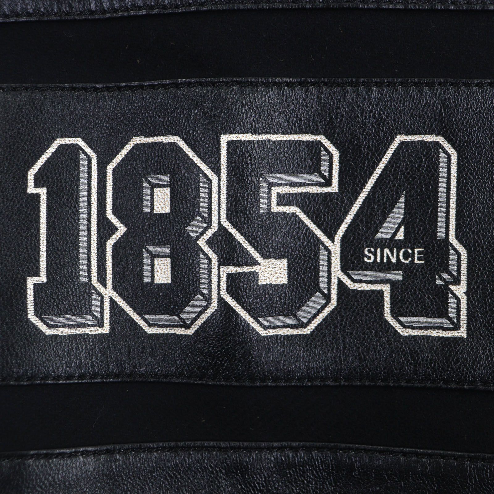 未使用品▽LOUIS VUITTON ルイヴィトン 23SS RM231M プリント レザー