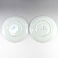 二手皇家哥本哈根陶器行李箱韋伯湯杯和碟子（2 件）