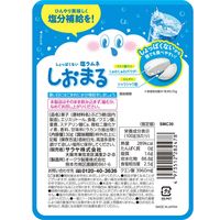 【超值特价！保质期至：2026年5月1日】盐丸清凉苹果酒味 30克