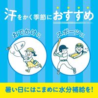 【超值特价！保质期至：2026年5月1日】盐丸清凉苹果酒味 30克