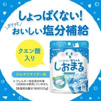 【超值特价！保质期至：2026年5月1日】盐丸清凉苹果酒味 30克