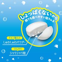 【超值特价！保质期至：2026年5月1日】盐丸清凉苹果酒味 30克