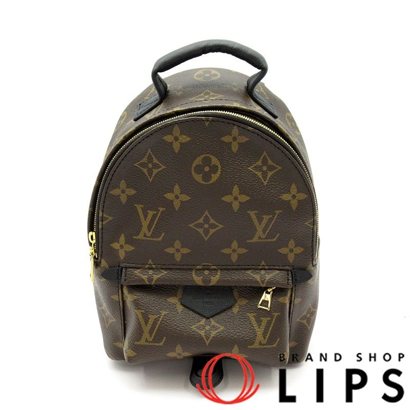 Louis Vuitton Palm Springs Mini Backpack M44873 Monogram  display picture 1