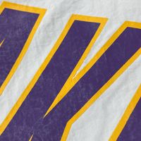 Mitchell & Ness NBA 洛杉磯湖人隊尼龍夾克，L 碼 [二手]