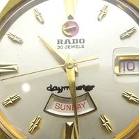 雷達 Daymaster 11753 手錶，鍍金錶殼 x 皮錶帶，手動上鍊，指針顯示，銀色錶盤，男士款 [二手]