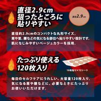 【第3類医薬品】北斗の拳 ホットパッチ ケンシロウ 120枚入