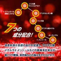 【第3類医薬品】北斗の拳 ホットパッチ ラオウ 120枚入