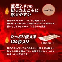 【第3類医薬品】北斗の拳 ホットパッチ ラオウ 120枚入