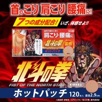 【第3類医薬品】北斗の拳 ホットパッチ ラオウ 120枚入