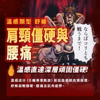 【第3類醫藥品】北斗神拳熱敷貼拉奧 120片