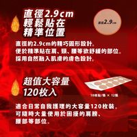 【第3類醫藥品】北斗神拳熱敷貼拉奧 120片