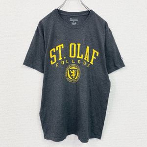 Champion short-sleeved printed T-shirt, arch print, triple print, current model, dark gray, size M, used.