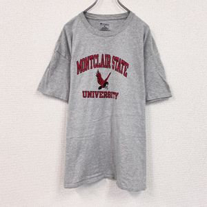 Champion short-sleeved printed t-shirt, college style, gray, size XL, used.