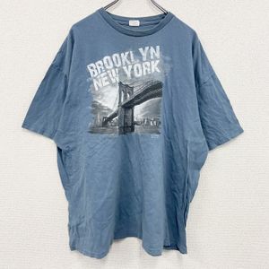 DELTA PRO WEIGHT Short-Sleeve Printed T-Shirt, Light Blue, Size 3XL, Used