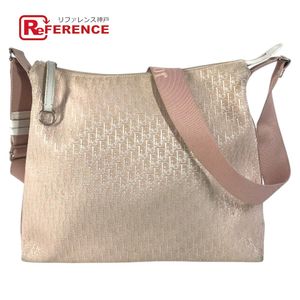 Dior Trotter Logo Shoulder Bag