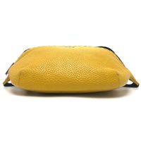 FENDI Selleria Crossbody Waist Bag
