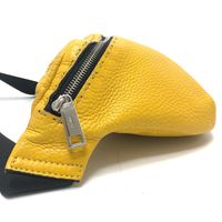 FENDI Selleria Crossbody Waist Bag