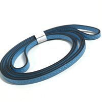 HERMES AirPods case with strap (earphone case)