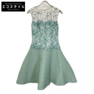 Tadashi Shoji AKH1695MJ 淺綠色花卉蕾絲無袖連身裙，2 碼 [二手]