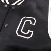 [Used] Celine CELINE Blouson, Logo Patch, Padded, 2W867532T, Wool Blouson, Men's, Used A