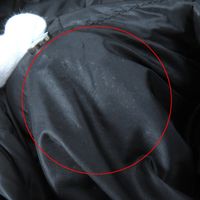 成色極佳 △ MONCLER VERNDIS 可拆卸領子設計圍脖式logo拉鍊羽絨服，黑色，0碼，正品女款