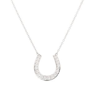 【二手】蒂芙尼 (Tiffany & Co.) 馬蹄形項鍊，950鉑金 (Pt950)