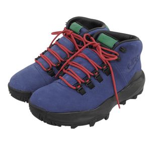Unused ▲NIKE 2024 model FV4332-401 CYGNAL sneakers, navy and green, size 25.5cm, made in Vietnam, men's, with box.