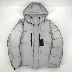 [Used] LOUIS VUITTON(Louis Vuitton) 19SS Reflective Quilted Rubber Logo Ski FR 50 Nylon Down Jacket HBG02EINO Gray